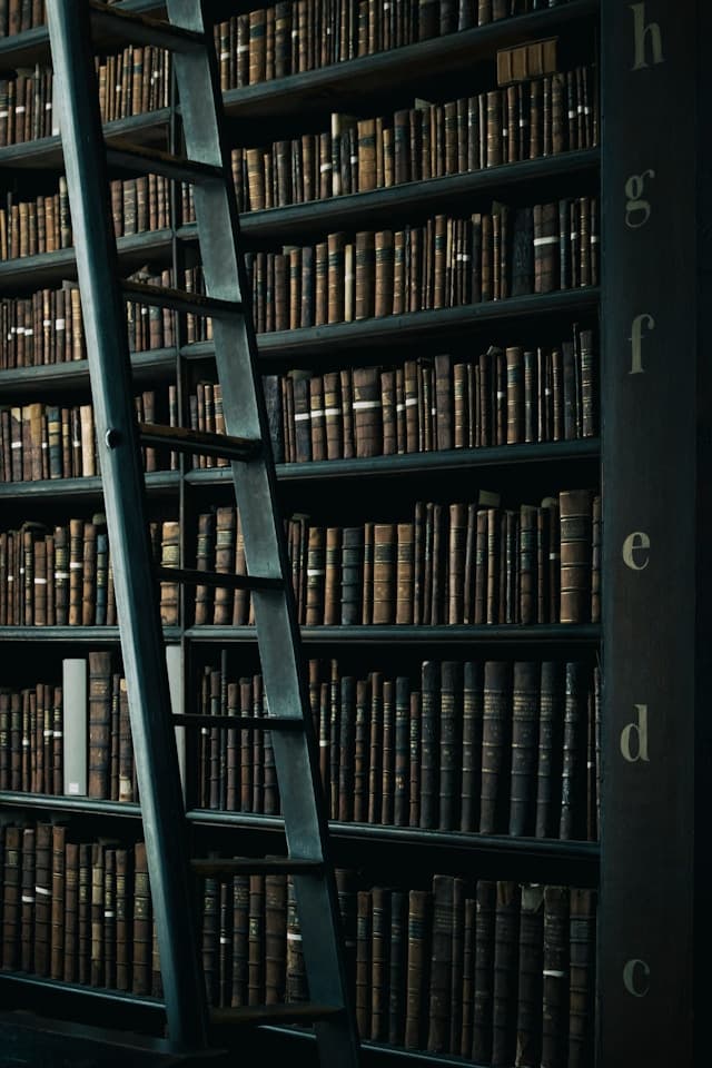 Floor-to-ceiling shelves of old leather-bound books with a wooden ladder leaning against them